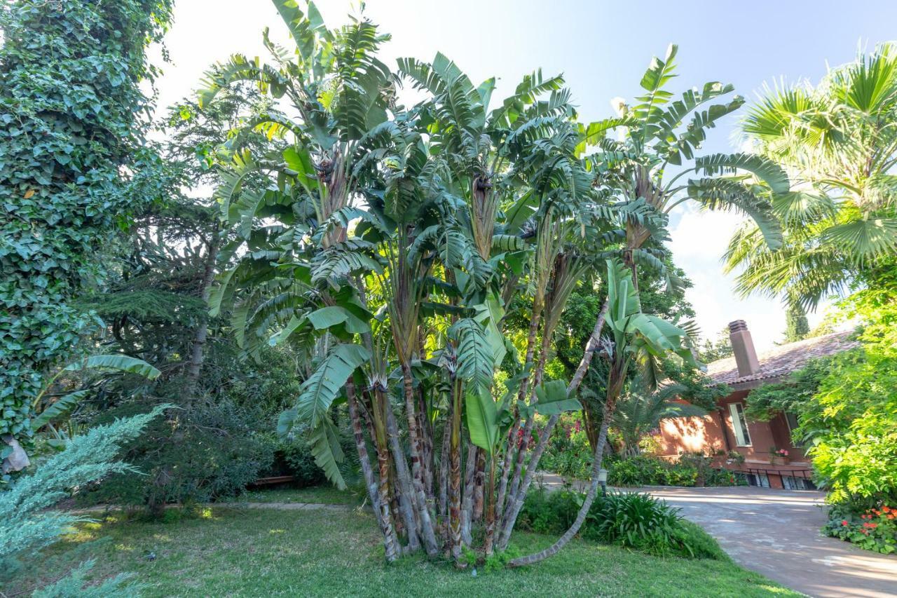 Il Giardino Di Michela By Domusicily Villa Mondello Exterior photo